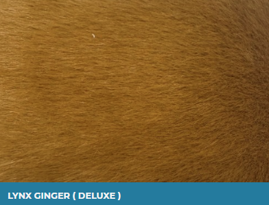 Lynx Ginger (Deluxe)